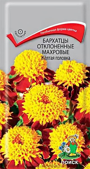 Семена Бархатцы отклоненные Петит золотой. Обилие махровых золотых соцветий. Куст компактный высотой 25 см, густоветвистый. Соцветия гвоздиковидные, махровые, диаметром 3,5-4,5 см, жёлтые. Цветёт с июня по август. Используют для клумб, рабаток, бордюров  и создания декоративных пятен.<br>
 <br>
 Агротехника. Растение светолюбивое, засухоустойчивое. Предпочитает плодородные и солнечные места (может расти при небольшом затенении).Размножают посевом семян в марте-апреле. Глубина заделки семян 0,5-1 см. При температуре почвы +18°C всходы появляются через 7-15 дней. Сеянцы содержат при умеренной температуре, пикируют в фазе 2-х настоящих листьев. Высаживают в открытый грунт в конце мая - начале июня (когда минует угроза поздневесенних заморозков). Расстояние между растениями при посадке 20-30 см