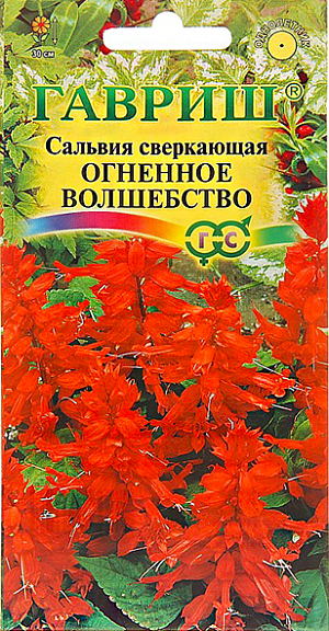 Семена Сальвия Огненное волшебство сверкающая.
Растение, культивируемое как однолетник из семейства Губоцветные, высота побегов до 30 см. Цветение обильное с июня до заморозков. Цветки пурпурно-красные, собраны в кистевидное соцветие длиной 14-20 см. Предпочитает солнечные участки с рыхлыми, умеренно плодородными почвами, может расти в полутени. Выращивают рассадным способом или прямым посевом в грунт под зиму. Для получения рассады посев проводят в феврале-марте. Всходы появляются на 10-15 день. Рассаду высаживают в начале июня, расстояние между растениями 20-25 см.
 Используют для посадки на клумбах, газонах, рабатках, в балконные ящики.