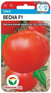 Семена Томат Весна F1