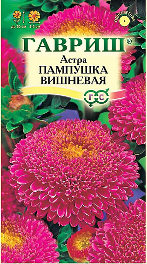 Семена Астра Пампушка вишневая.
Растение высотой 50 см. Соцветия полусферические, вишневой окраски, диаметром 4-5 см. Для выращивания подходят хорошо освещенные участки с плодородной суглинистой или супесчаной почвой. Астры обладают высокой холодостойкостью – хорошо переносят заморозки до -3-4оС. Выращивают, чаще всего, рассадным способом. Семена высевают в марте-апреле, пикируют с развитием первой пары настоящих листочков по схеме 5х5 см, в открытый грунт рассаду высаживают с середины мая до начала июня. Возможен подзимний посев астр: в конце октября на глубину 5-8 см. Сверху посевы мульчируют торфом или опилками на высоту 3-5 см. Весной (в конце марта-начале апреля) посевы раскрывают. Появившиеся в конце апреля всходы будут закаленными, а выросшие растения сильными, устойчивыми к заморозкам и обильно цвести. Используются для получения срезки и оформления участка.