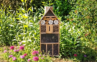 Готовим сад к зиме. Домик для полезных насекомых. Создаем отель для энтомофагов.