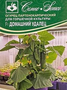 Семена Огурец Удалец F1 (домашний)