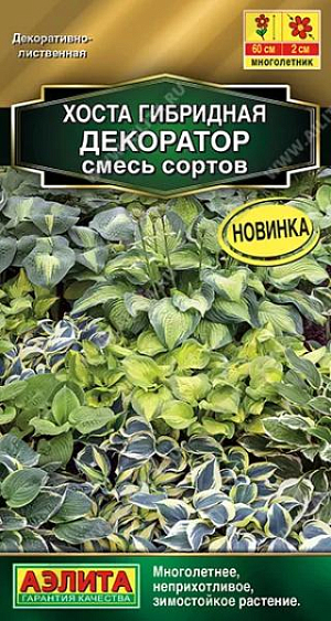 Декоративно-лиственное многолетнее растение. Знаменито среди садоводов своей неприхотливостью и разнообразием окрасок. Представленная гибридная смесь отлично выглядит в групповых ковровых посадках благодаря расцветке листьев. Высота* кустиков 40-60 см. Растения развивают максимально мощный, густой листовой аппарат на увлажненных, плодородных почвах в полутени. Изящные, нежные соцветия на удлиненных цветоносах распускаются в середине лета. Смесь зимостойкая, прекрасно сочетается и уживается с большинством цветущих растений. Срезанные листья можно использовать для декорирования букетов.

* Высота растений зависит от условий выращивания.
Для стимуляции прорастания через 3-5 дней после посева контейнер помещают в холодильник при темп. +4…+6°С на 1-2 недели. Далее посевы переносят в комнатные условия. Сеянцы пикируют в фазе 1-2 наст.листьев. При хорошем уходе декоративный эффект сохраняется более 10 и даже 20 лет.