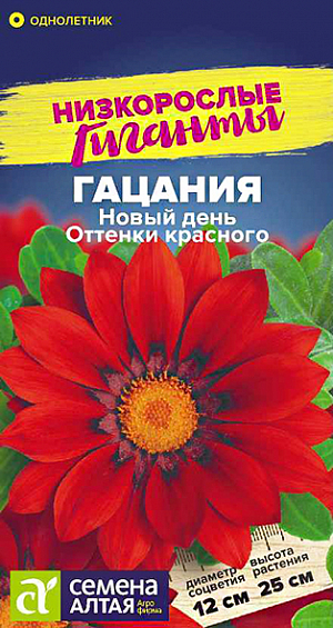 Семена Гацания "Новый день". Оттенки красного.<br>
Восхитительный однолетник! Гацании серии New Day компактны, отличаются простотой выращивания, отлично подходят для загущенных посадок, держат цветок открытым до позднего вечера. Кустик крепкий, ветвящийся, шириной 15-20 см. Очень крупные ярко-красные соцветия с темным кольцом вокруг центра не оставят равнодушными даже самых искушенных цветоводов. Используются для оформления рабаток, бордюров, каменистых горок, отлично смотрятся в вазонах, балконных и оконных ящиках. Растение жаро- и засухоустойчивое, предпочитает открытые солнечные участки с хорошо дренированной легкой почвой. Избытка влаги не переносит, может переносить резкие похолодания до -5 -7C. На рассаду семена высевают с середины марта в глубокие ящики, т.к. растение имеет длинный стержневой корень. Грунт предварительно прокаливают около 3 часов, затем его проливают насыщенным раствором марганцовки, остужают и наполняют посадочные емкости, обеспечив дренаж.