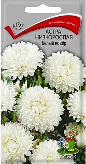 Семена Астра низкорослая Белый ковёр. Великолепный низкорослый сорт для ковровых цветников. Растение компактное, высотой около 20 см. Соцветия белые. Цветёт обильно с июля до морозов. Используют в сборных цветниках, на рабатках, для бордюров и мини-букетов.<br>
 <br>
 Агротехника. Растение предпочитает открытое солнечное место, но выносит и полутень. Лучше растёт на лёгких, плодородных почвах. Не переносит внесения органических удобрений в год посадки. Семена высевают с середины февраля по апрель. Глубина заделки семян 0,5 см. При температуре +20 °С всходы появляются на 7-14 день. Через 3-4 недели посевы пикируют и выращивают при температуре 12-15 °С. В грунт рассаду высаживают во второй половине мая, расстояние между растениями 20 см.