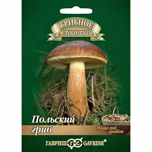 Мицелий грибов Польский гриб 
