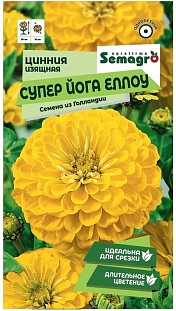 Цинния изящная Супер Йога Еллоу