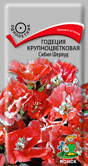 Семена Годеция крупноцветковая Сибил Шервуд. Растение высотой 40 см. Крупные цветы с волнистыми краями лепестков, нежно-кораллового цвета с желтым центром. Цветет обильно с июля по октябрь. Используют для переднего края бордюров, рабаток, клумб.<br>
Агротехника. Растение холодостойкое. Предпочитает солнечные места, переносит полутень, хорошо растет на плодородных, достаточно влажных почвах. Посев семян производят в апреле-мае в открытый грунт. Глубина заделки семян 0,5 см. При температуре +20°C всходы появляются на 7-14-й день. При площади питания 20х40 см получаются раскидистые, шарообразные кустики, обильно покрытые цветами.