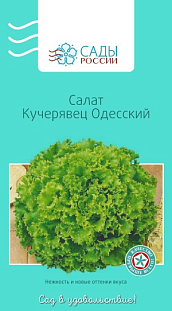 Семена Салат Кучерявец Одесский