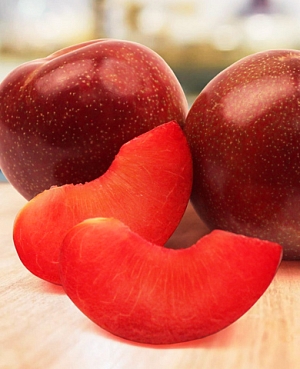 Саженцы Шарафуга Белла Рояль