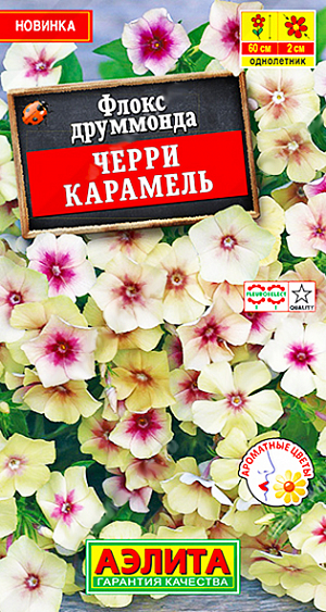 Неповторимый сорт с двухцветными, контрастными соцветиями. Эталон красоты и стиля для вашего сада! За особенные декоративные качества отмечен международной наградой Fleuroselect. Цветки крупные, диаметром 2 см., с лепестками карамельного оттенка и вишнево-красными серединками. Растения однолетние, средней высоты (40-60 см.), компактные, с большим количеством боковых побегов. Цветение по-настоящему обильное, длится до устойчивых заморозков. Сорт подходит для срезки в букеты. Используется в разнообразных цветниках, вазонах и для создания бордюров.<br>
 <br>
  Семена располагают по поверхности субстрата, увлажняют из распылителя и закрывают стеклом до появления всходов. Семена прорастают на свету! С появлением первой пары настоящих листочков сеянцы пикируют. Растения хорошо растут и цветут на рыхлых, плодородных почвах нейтральной кислотности, не любят затемнения.<br>