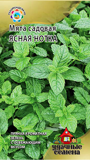 Семена Мята садовая Ясная нотка