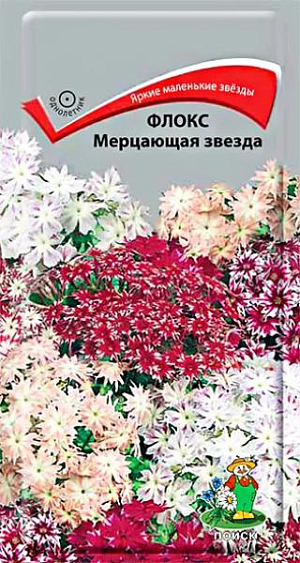 Семена Флокс Мерцающая звезда.
Звездообразные душистые цветы. Кустики компактные, низкие, 30 см высотой. Плотные яркие соцветия с остроконечными лепестками достигают в диаметре 10 см. Цветет обильно с июня до конца сентября. Используют для бордюров, обрамления клумб. 
Агротехника. Растение наибольшей декоративности достигает на умеренно влажных плодородных почвах и солнечном месте. При выращивании рассады посев производят в марте в рассадные ящики. Глубина заделки семян 0,5 см. При температуре почвы +18°C всходы появляются на 7-14 день. Сеянцы содержат при умеренной температуре. В грунт рассаду высаживают в конце мая, выдерживая расстояние между растениями 20-25 см. В открытый грунт семена высевают в мае, предварительно замочив их на 20-30 часов. Семена соответствуют требованиям международных стандартов и ГОСТу РФ 12260-81.