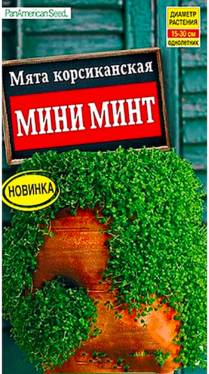 Мята корсиканская Мини минт