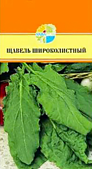 Щавель Широколистный