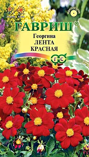 Семена Георгина Лента красная<br>
 <br>
 Одно из любимых однолетних растений для цветников и срезки. Формирует компактный кустик высотой до 40-50 см. Образует многочисленные ветвистые стебли высотой 40-50 см. Цветение продолжительное и обильное с июля до заморозков. Соцветия ярко-красные, диаметром 8-9 см. Предпочитает солнечные, защищенные от ветра участки с рыхлой, плодородной почвой. Выращивается рассадным способом. Посев семян на рассаду проводят в марте-апреле. Используется для посадки на клумбах, рабатках, в группах, контейнерах.<br>