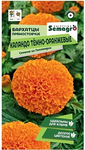 Бархатцы Каландо темно-оранжевые прямостоячие