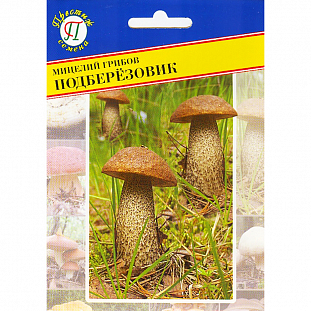 Мицелий грибов Подберёзовик 