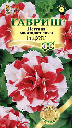 Семена Петуния махровая Дуэт F1<br>
 <br>
 Многоцветковая махровая серия, очень рано вступает в цветение. Роскошное однолетнее растение с высокой устойчивостью к неблагоприятным погодным условиям. Эта гибридная форма петунии имеет объемный компактный ветвистый кустик высотой 25-   35 см и диаметром 25-30 см.  Цветки красные с белым, многочисленные, 5-6 см в диаметре, похожи на цветки гвоздики, с прочной фактурой, не страдают во время дождей. Посев проводят поверхностно, не заделывая, с февраля по март. При зимнем посеве всходам необходима подсветка. Всходы появляются через 7-12 дней. На постоянное место высаживают, когда минует опасность заморозков. Цветет с конца мая весь сезон. Светолюбива и достаточно засухоустойчива. Предпочитает легкие, плодородные, хорошо дренированные почвы. Украсит контейнеры, вазоны, балконы, подоконники, рабатки, бордюры.<br>