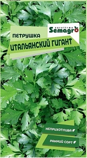 Петрушка Итальянский гигант