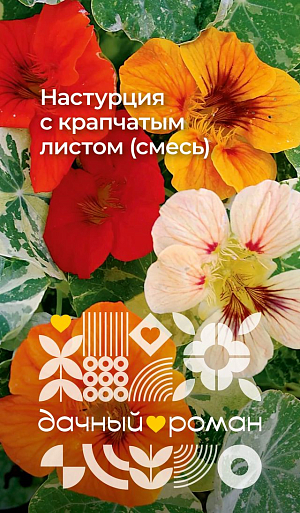 Семена Настурция с крапчатым листом (смесь)

Очаровательная смесь кустовой настурции с декоративной мраморной листвой, на фоне которой все лето «вспыхивают» желтые, оранжевые и абрикосовые цветки до 5 см в диаметре. Кусты компактные, быстроразвивающиеся. Цветение раннее и продолжительное, вплоть до заморозков. Идеальна для контейнерной культуры, прекрасно смотрится на балконах и в садовых вазонах.