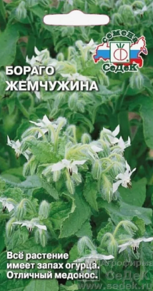 Огуречная трава Жемчужина