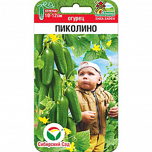 Семена Огурец Пиколино F1