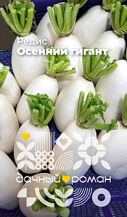 Семена Редис Осенний гигант