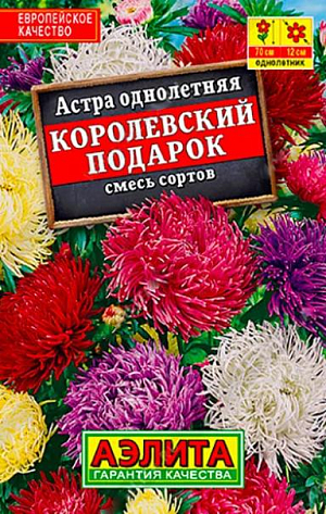 Семена Астра Королевский подарок смесь. Одними из самых впечатляющих астр общепризнанно являются коготковые. Они обладают крупными, элегантными густомахровыми соцветиями и продолжительным цветением. Дают отличную срезку.