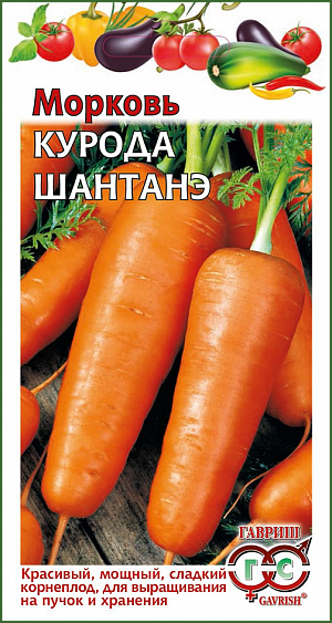 Семена Морковь Курода Шантанэ