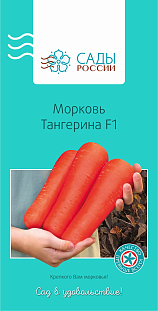 Морковь Тангерина F1