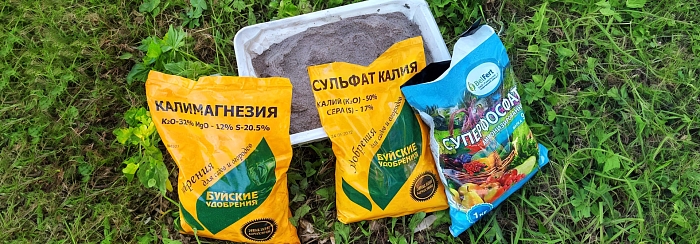 Осенние удобрения для сада. Почему калий и фосфор в августе — залог морозостойкости? 
