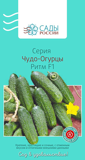 Семена Огурец Ритм F1