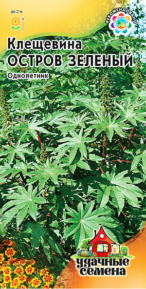 Семена Клещевина Остров Зеленый.
Декоративно-лиственное растение из семейства Молочайные высотой 1,5-2,0 м. Растение мощное, быстрорастущее, раскидистое. 
Стебли прямостоячие, разветвленные, голые. Листья зеленые, расположены в очередном порядке, крупные, на длинных полых черешках, пальчато-раздельныe, с 5-10 лопастями. Цветки красные, собраны в плотные кистевидные соцветия. Теплолюбива, светолюбива и довольно засухоустойчива, предпочитает участки с плодородной и хорошо обработанной почвой. 
Выращивается рассадным способом. Используется как акцентное растение или в небольших свободных группах. 