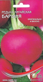 Редька китайская (лоба) Барыня