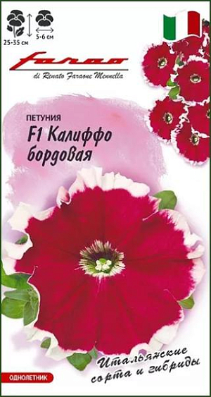 Семена Петуния многоцветковая Калиффо вишневая F1<br>
 <br>
 Многоцветковые петунии  F1 Калиффо — итальянские красавицы для создания уютного уголка солнечного средиземноморья в саду и на балконе. Аккуратные «точеные» кустики  густо покрывают  нарядные цветки диаметром 5 см. Глубину оттенка подчеркивает бархатистая текстура цветков, а яркий белый ободок по краю придает контрастности. Посев проводят поверхностно, не заделывая, с февраля по март. При зимнем посеве всходам необходима подсветка. Всходы появляются через 7-12 дней. На постоянное место высаживают, когда минует опасность заморозков. Цветет с конца мая весь сезон. Светолюбива и достаточно засухоустойчива. Предпочитает легкие, плодородные, хорошо дренированные почвы. Украсит контейнеры, вазоны, балконы, подоконники, рабатки, бордюры.<br>