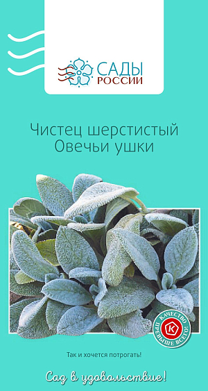 Чистец шерстистый Овечьи ушки

Многолетнее корневищное растение с прямостоячими стеблями и толстыми листьями. Декоративны беловойлочные листья, соблазняющие мягкой пушистостью. Рекомендуется обрезать до цветения. Требуется высокая влагоемкость почвы. Удобрять следует перепревшим компостом один раз в сезон. Зимостойкий, зимует без укрытия.
