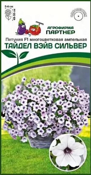 «Тайдел Вэйв» - уникальный гибрид с глубоким цветом атласных лепестков и превосходными показателями цветения и роста! Рано зацветает и продолжительно цветет весь сезон, даже при коротком дне осенью. Лепестки имеют плотную текстуру, что позволяет отталкивать воду и мгновенно восстанавливаться после дождя и ветра. Демонстрирует невероятную устойчивость к болезням и делает уход легким как для профессионалов, так и для любителей. Благодаря мощному ветвлению, мгновенно заполняет пространство и идеально подходит для больших цветников и контейнеров.<br>
 При высоте куста в 50 см, длина плетей достигает 1,5 м, а само растение занимает площадь более 2,5 м². В контейнерной культуре желательно предоставлять не менее 20 л на одно растение. Схема посадки в открытом грунте 75х75 см.