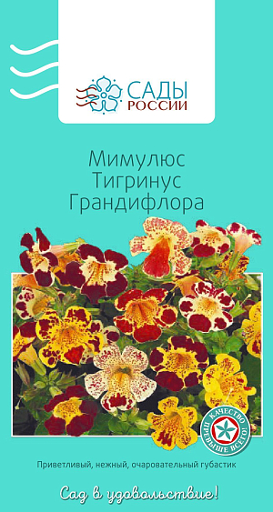 Мимулюс Тигринус Грандифлора

Цветки завораживают и притягивают своей необычностью. К его достоинствам относятся теневыносливость и терпимость к повышенной влажности почвы. Для пышности цветения молодые кусты лучше прищипывать. Полив обильный. Холодостойкий. Рассаду высаживают в грунт после того, как минует угроза возвратных заморозков.