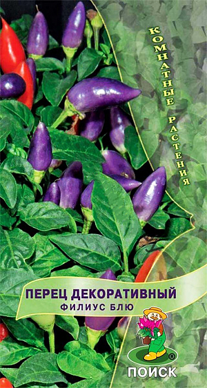 Семена Перец декоративный Филиус Блю