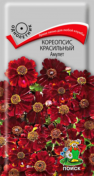 Семена Кореопсис Красильный Амулет.
Красно-бурые цветы великолепно смотрятся в травянистых бордюрах, на каменистых склонах. Растение образует широкий куст, высотой около 25 см.Растение сильноветвистое цветет очень обильно с июля по сентябрь.Используется для групповых посадок, рабаток, миксбордеров и срезки. 
Агротехника. Растение морозоустойчивое. Предпочитает солнечные места. Размножают посевом семян в мае в открытый грунт или холодный парник. На постоянное место высаживают, выдерживая расстояние между растениями 20-30 см. можно сеять под зиму. Срезанные цветы хорошо сохраняются в воде. 
Семена соответствуют требованиям международных стандартов и ГОСТу РФ 12260-81
