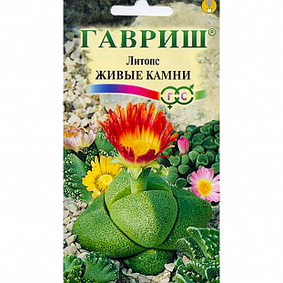 Семена Литопс Живые камни Семена Литопс Живые камни