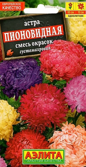 Семена Астра пионовидная Смесь окрасок.
Растение пирамидальной формы, высотой 60-65 см. Цветоносы прочные. Соцветия махровые, диаметром 8-10 см, различной окраски. Язычковые цветки плотно прижаты друг к другу и загнуты в середину. Для выращивания подходят хорошо освещенные участки с плодородной суглинистой или супесчаной почвой. Астры обладают высокой холодостойкостью – хорошо переносят заморозки до -3-4°C. Выращивают чаще всего рассадным способом. Семена высевают в марте-апреле, пикируют с развитием первой пары настоящих листочков по схеме 5х5 см, в открытый грунт рассаду высаживают с середины мая до начала июня. Возможен подзимний посев астр: в конце октября на глубину 5-8 см. Сверху посевы мульчируют торфом или опилками на высоту 3-5 см. Весной в конце марта-начале апреля посевы раскрывают. Появившиеся в конце апреля всходы будут закаленными, а выросшие растения сильными, устойчивыми к заморозкам и обильно цвести. Используются для получения срезки и оформления участка.