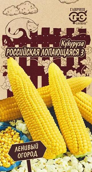 Кукуруза Российская лопающаяся 3