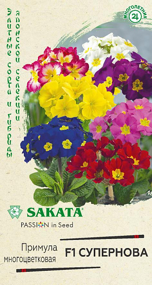 <div>
 Семена  Примула многоцветковая F1 Супернова полиантовая, смесь <br>
 <br>
 Многолетняя обильноцветущая смесь полиантовых примул селекции «SAKATA» с крупными, яркими, ароматными цветками диаметром 5-6 см, собранными в объемные соцветия по 5-15 шт. Растения компактные высотой 15 см, диаметром 25 см. Во время цветения, в мае-июне, сплошь покрываются множеством очаровательных цветков желтых, голубых, красных, розовых, фиолетовых оттенков, в обрамлении цельных прикорневых зеленых листьев. Прекрасно подходят для каменных горок, рабаток, патио, для посадки в бордюры и как горшечное, контейнерное растение. Морозоустойчивы и теневыносливы, но любят освещенные места. 
</div>
 <br>