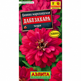 Цинния Дабл Захара черри