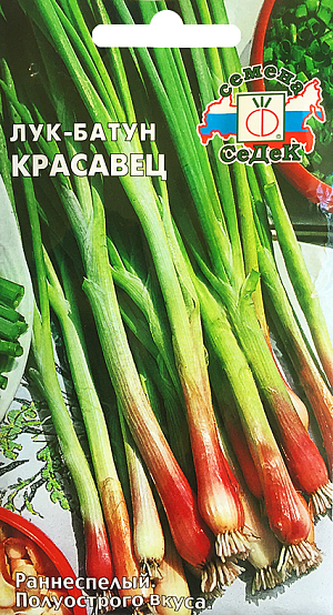 Семена Лук батун Красавец