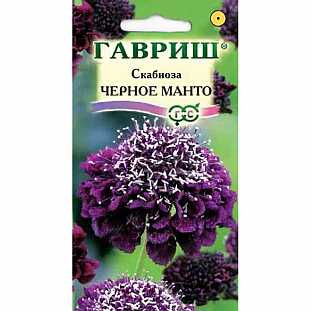 Семена Скабиоза махровая Чёрное манто