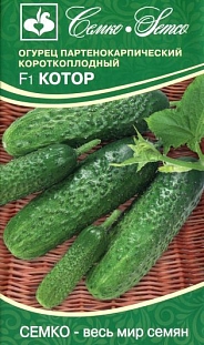 Семена Огурец Котор F1