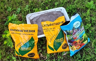 Осенние удобрения для сада. Почему калий и фосфор в августе — залог морозостойкости? 